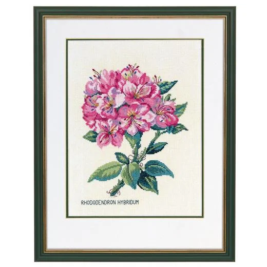 Eva Rosenstand - Rhododendron pink
