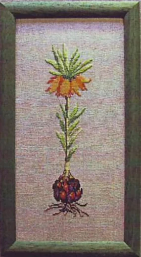 Oehlenschläger - Kaiserkrone