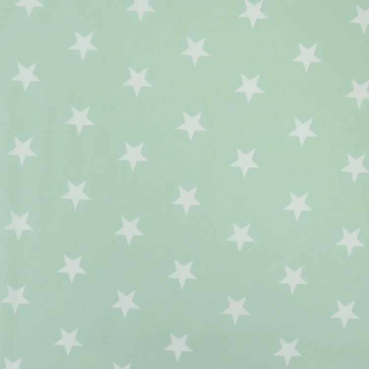 Baumwoll Popeline Big Stars, hellmint