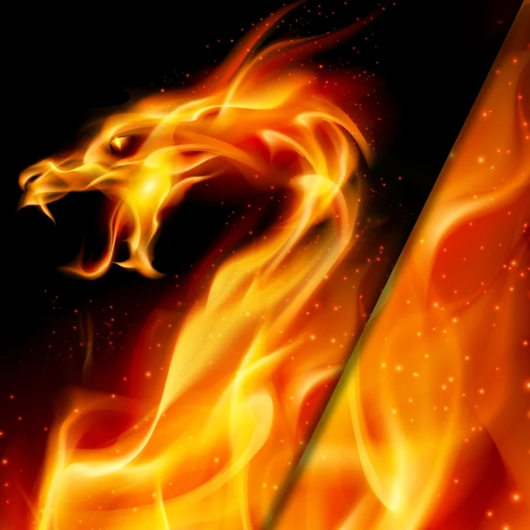 Baumwolljersey Malomi Panel Feuerdrache 150 x 70 cm