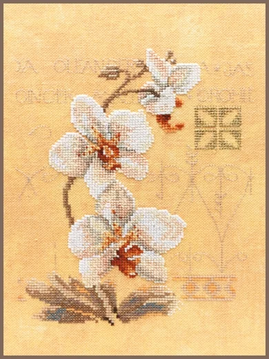 Lanarte - Three orchids