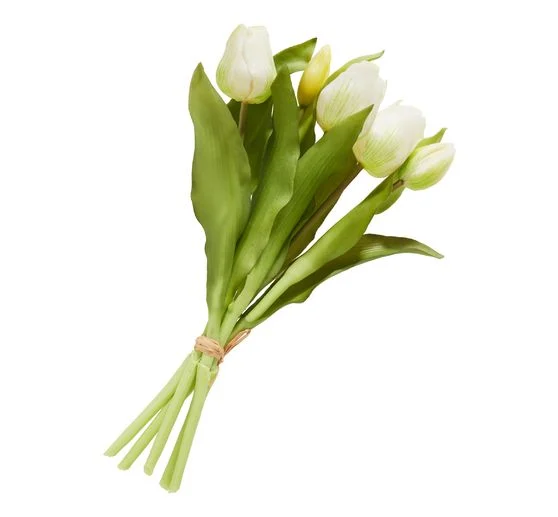 Tulpen-Bund mit 3 Blüten und 2 Knospen
