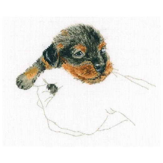 RTO - In Palms - Dog