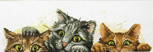 Curious Kittens - Needleart World (Stickpackung)