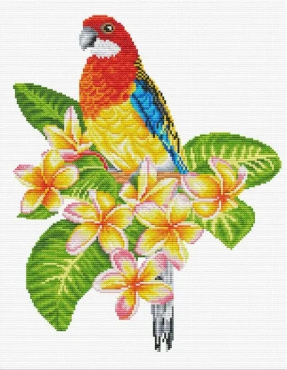 Frangipanni Rosella - Needleart World (Stickpackung)