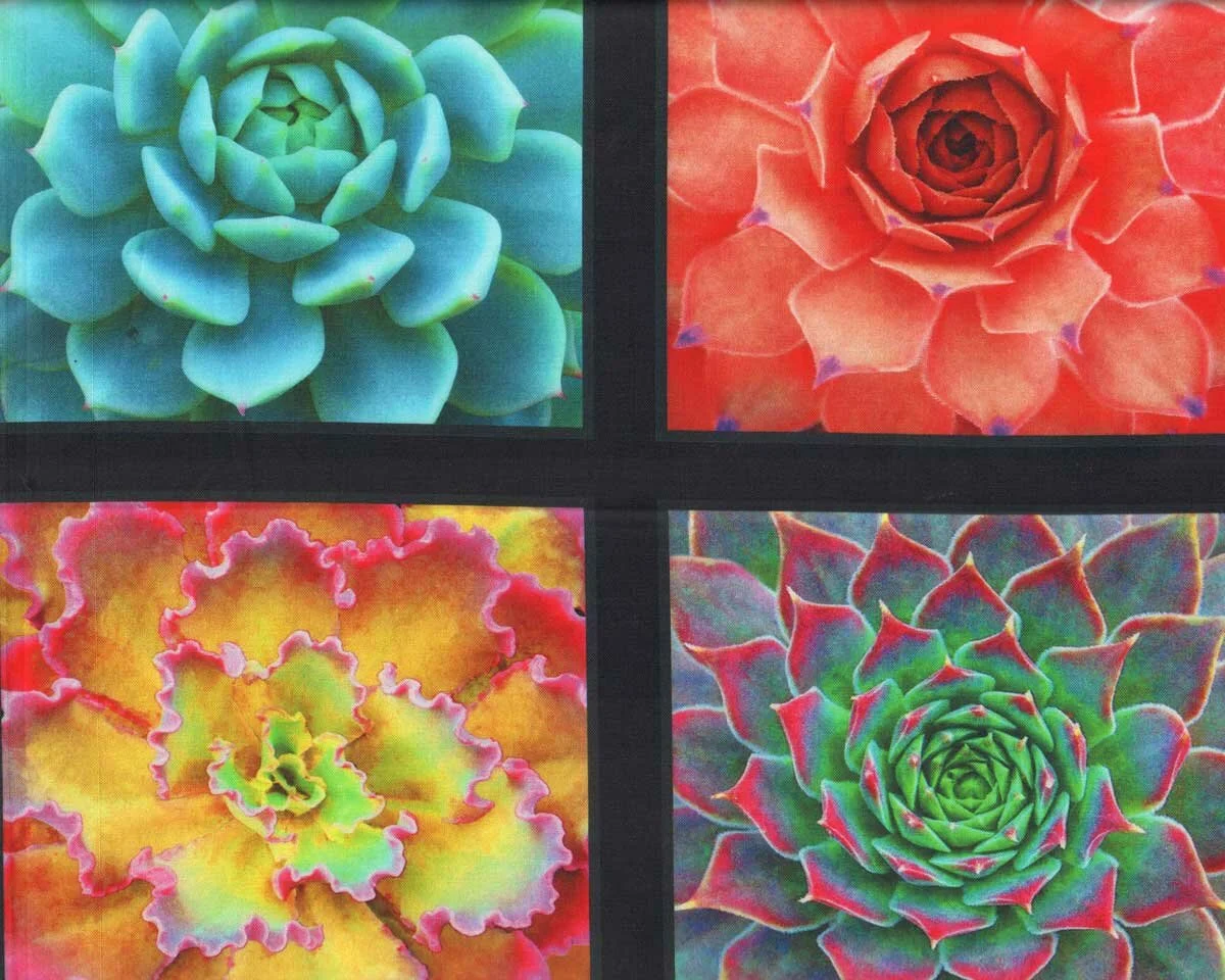 60-cm-Rapport Patchworkstoff SUCCULENT CHARM, Sukkulenten, Elizabeth's Studio