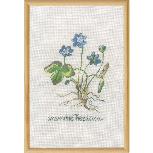 Permin of Copenhagen - Blaue Anemonen