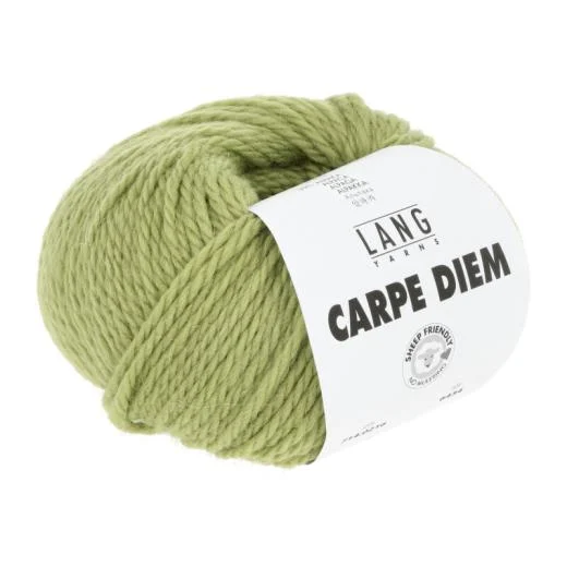 Carpe Diem Lang Yarns - matcha (0216)