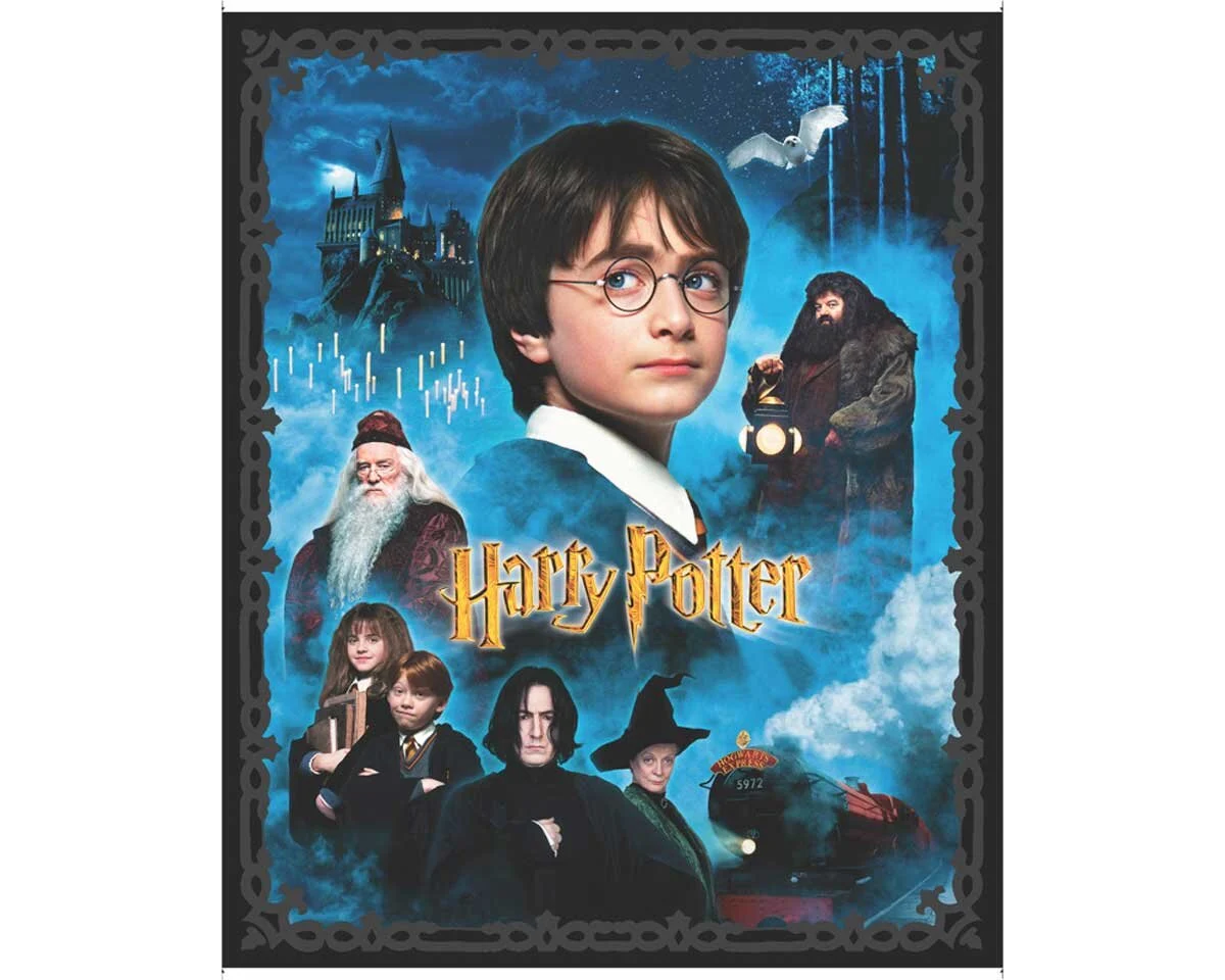 95-cm-Panel Patchworkstoff HARRY POTTER, Filmfiguren, Benartex