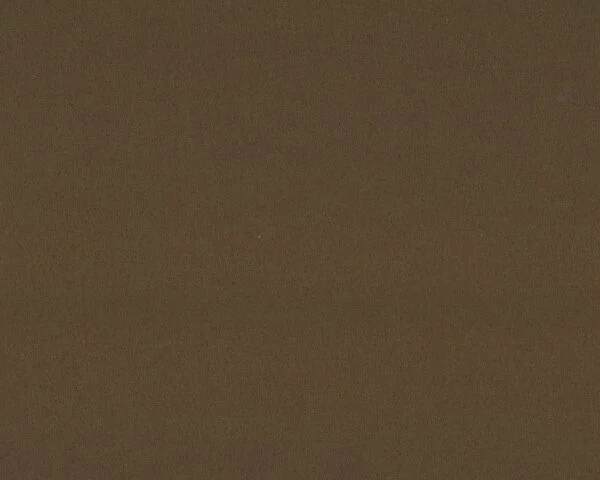 Baumwoll-Stretch-Satin "Premium", dunkles schlammbraun