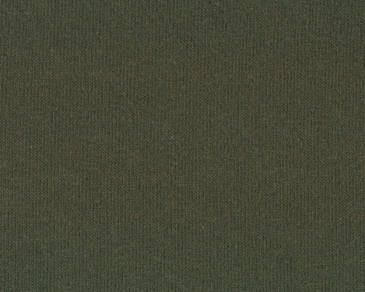 Baumwoll-Strickstoff BONO, moosgrün, Swafing
