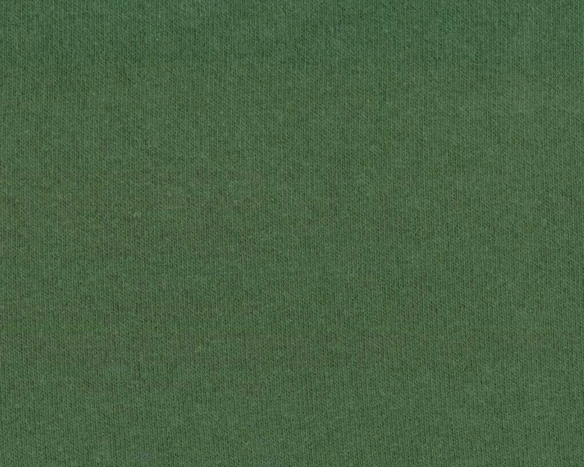 Baumwoll-Strickstoff GILLO, moosgrün, Hilco