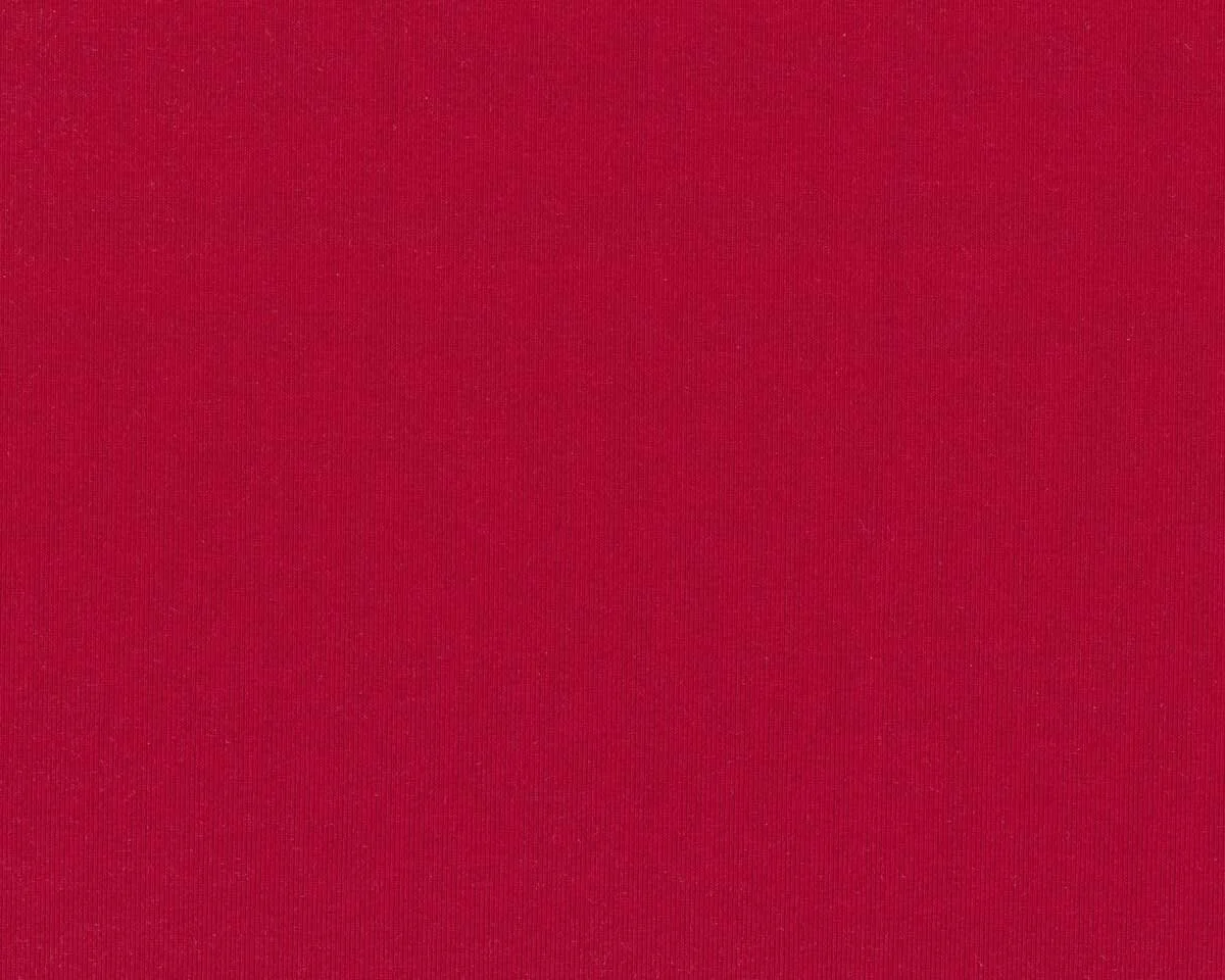 Baumwolljersey AVALANA SOLID, einfarbig, rot