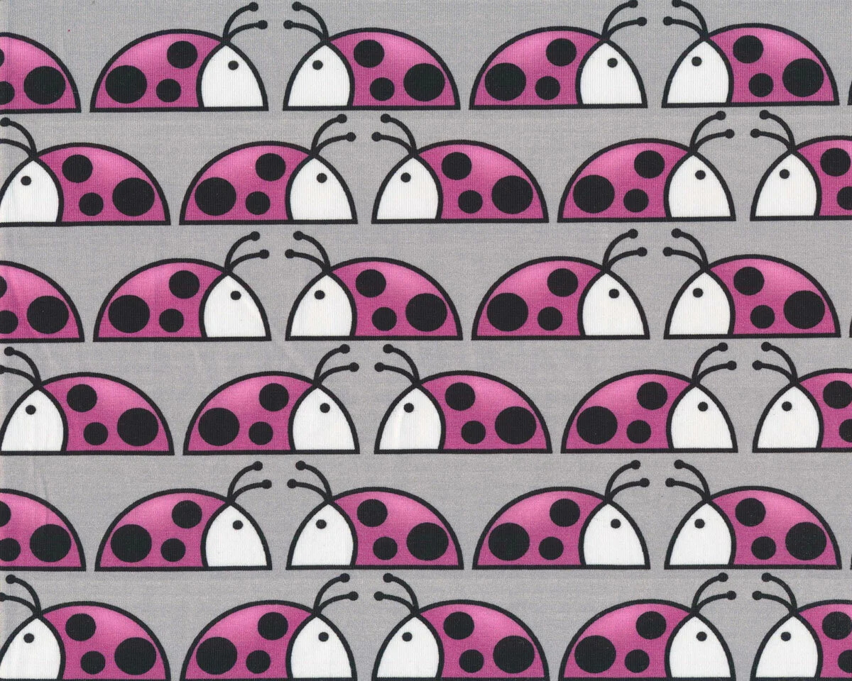 Baumwolljersey KÄFER, Käfer in Reihe, fuchsia, Hilco