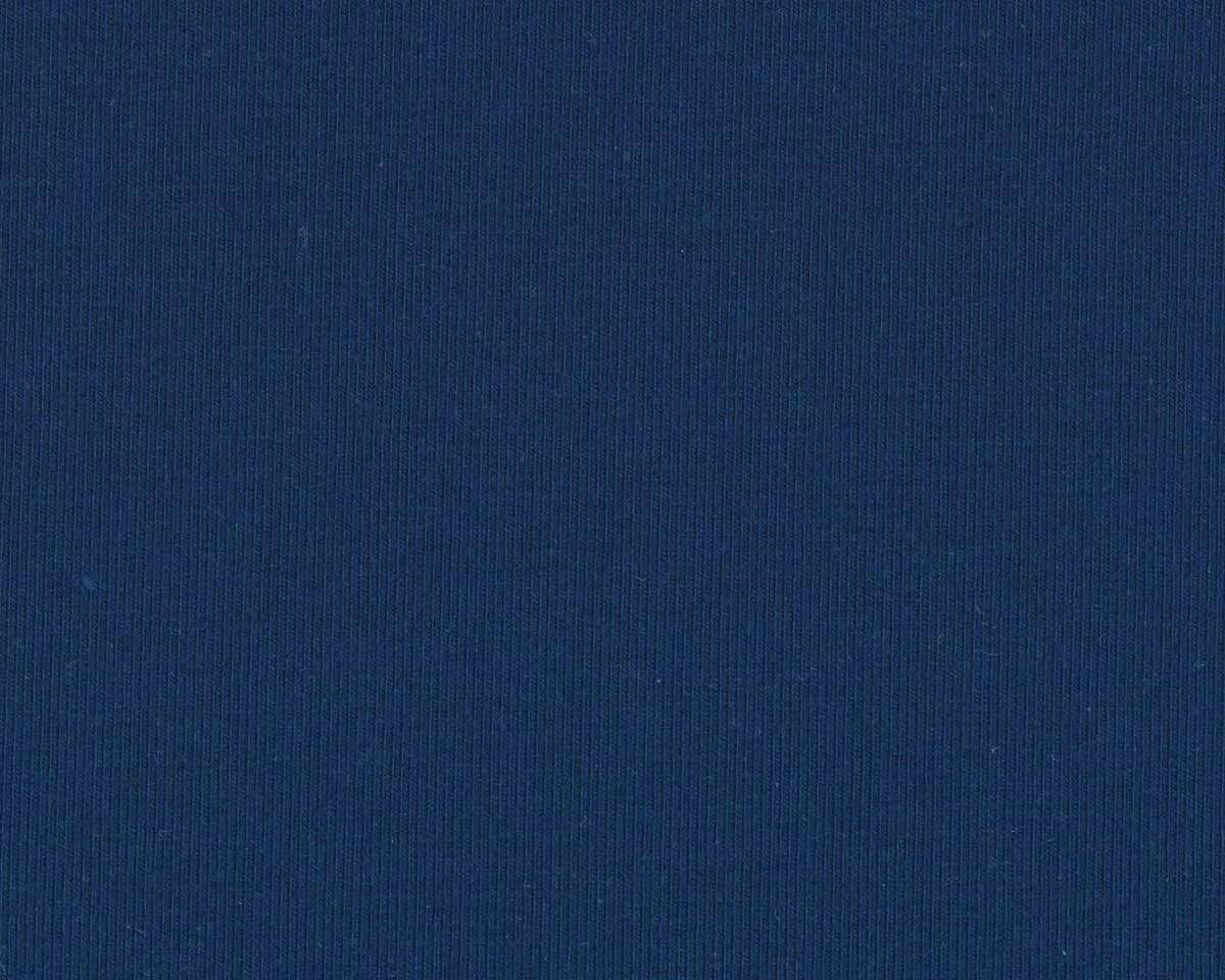 Baumwolljersey VANESSA, einfarbig, blau, Swafing