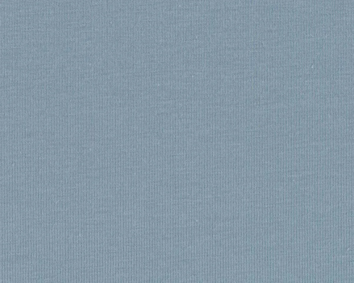 Baumwolljersey VANESSA, einfarbig, gedecktes hellblau, Swafing