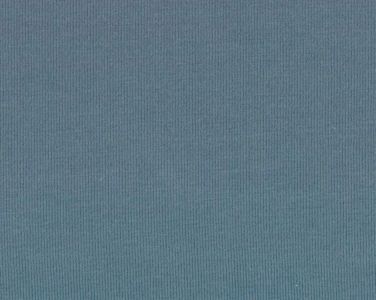 Baumwolljersey VANESSA, einfarbig, taubenblau, Swafing
