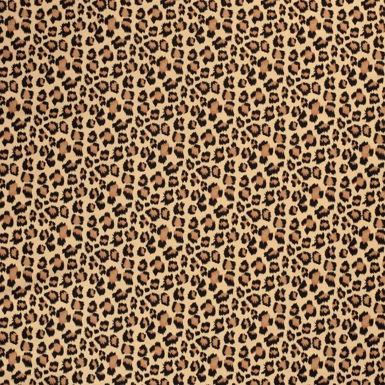 Bengaline Little Leo, dunkelbeige