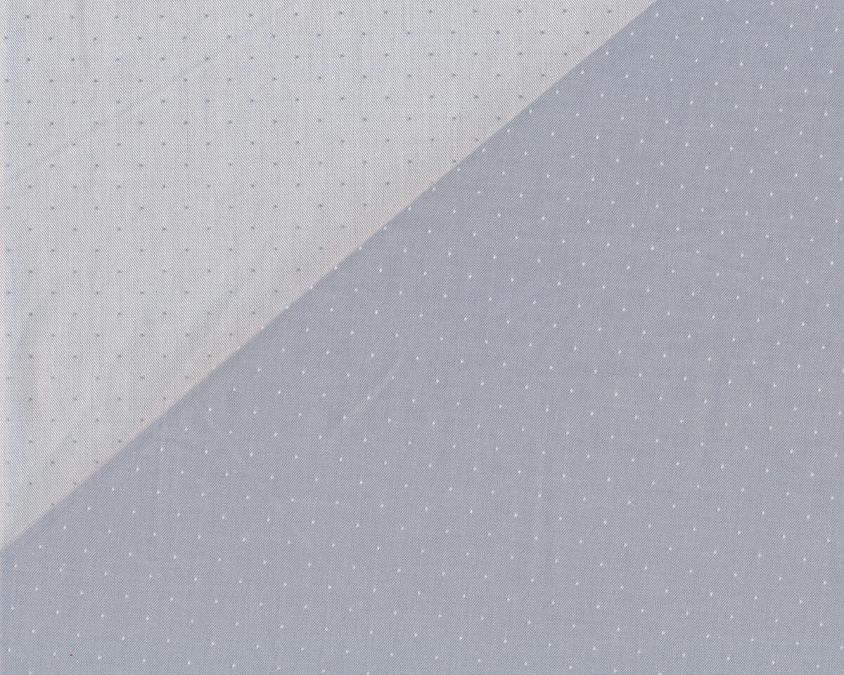 Bio-Baumwollpopeline CHAMBRAY, Pünktchen, hellgrau, Toptex