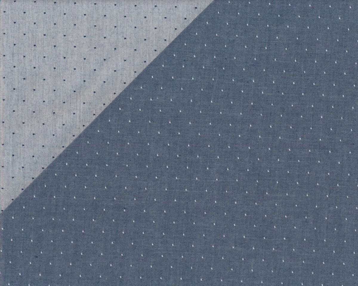 Bio-Baumwollpopeline CHAMBRAY, Pünktchen, nachtblau Toptex