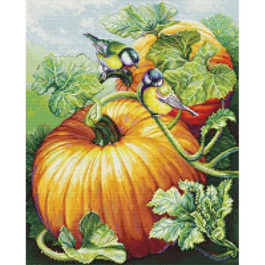 Luca-S - Birdies On Pumpkin
