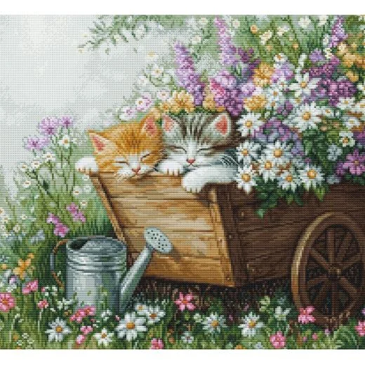 Luca-S - Kittens' Sleep