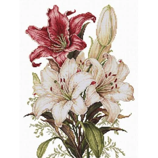 Luca-S - The scent of Lilies