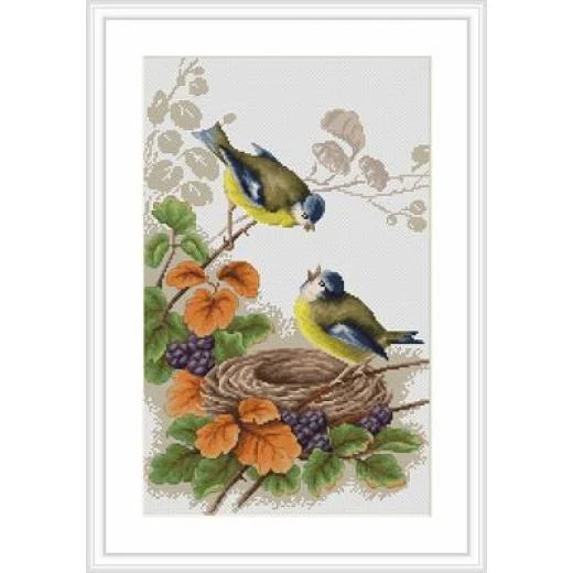 Luca-S - Birds in Nest