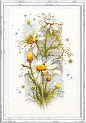 Magic Needle (Chudo Igla) - White Daisies