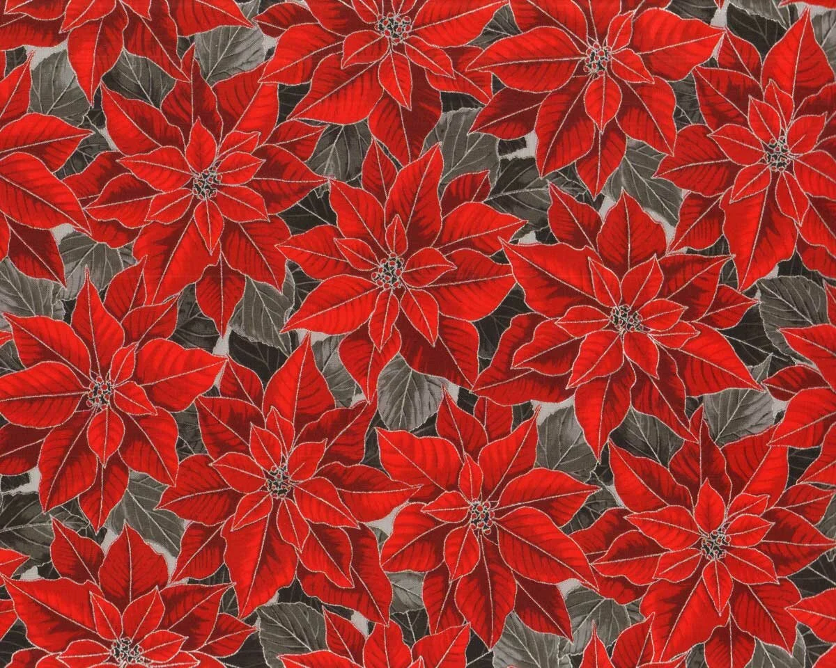 Metallic-Patchworkstoff HOLIDAY FLOURISH, Weihnachtsstern, rot-grau-silber, Robert Kaufman