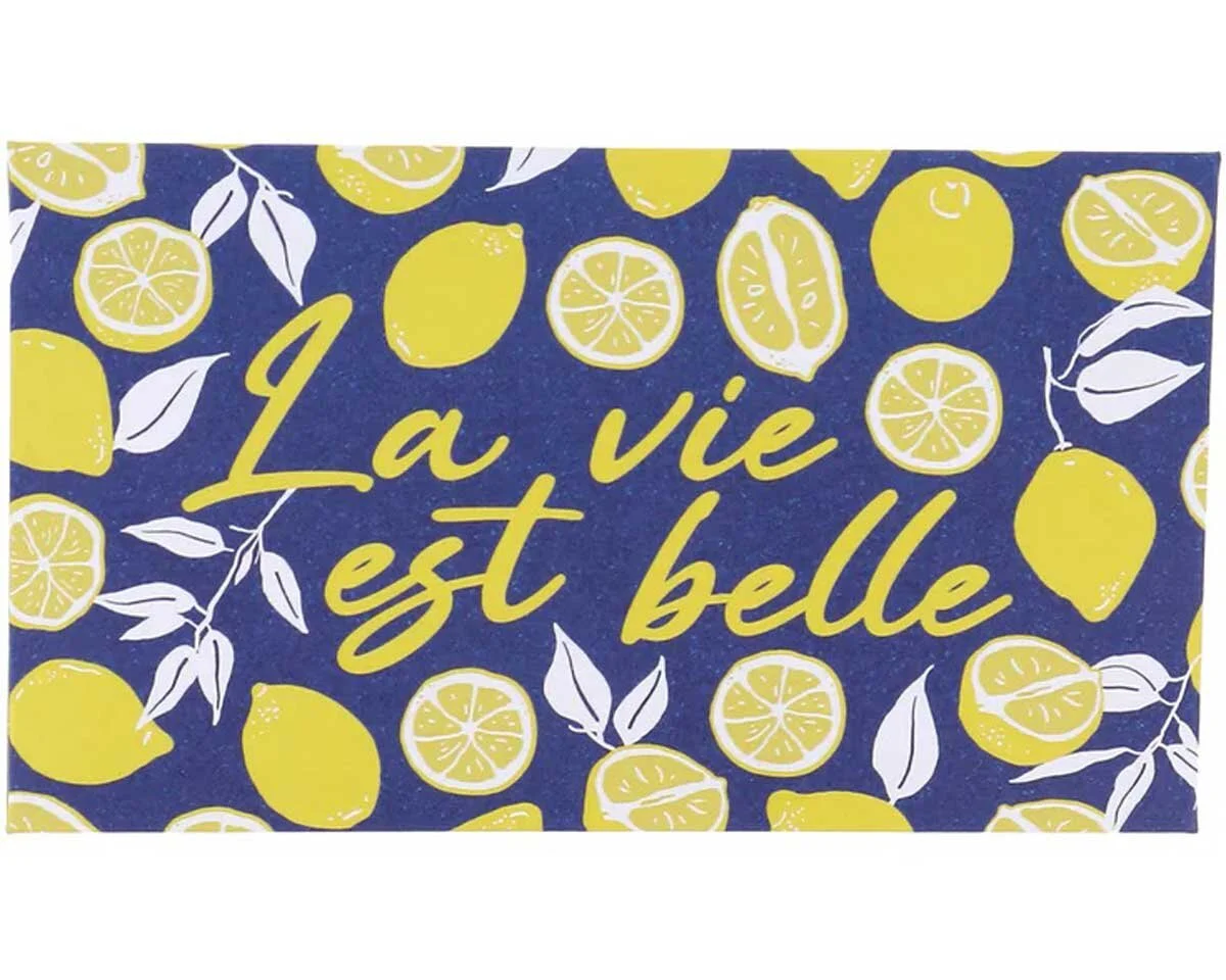 Nadelheft LA VIE EST BELLE, 40 gemischte Nähnadeln, Bohin