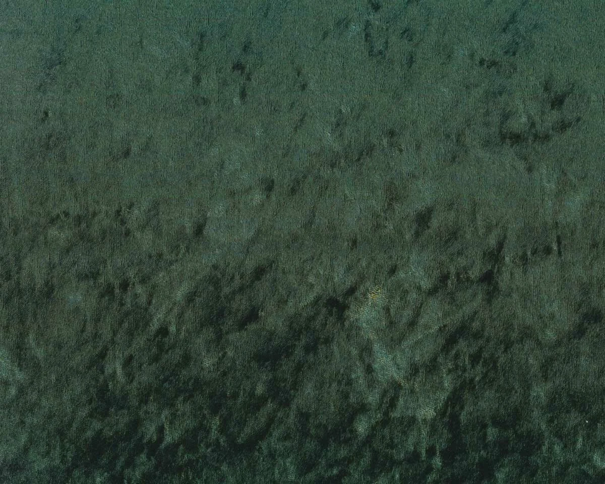Pannesamtstoff VELURO, tannengrün