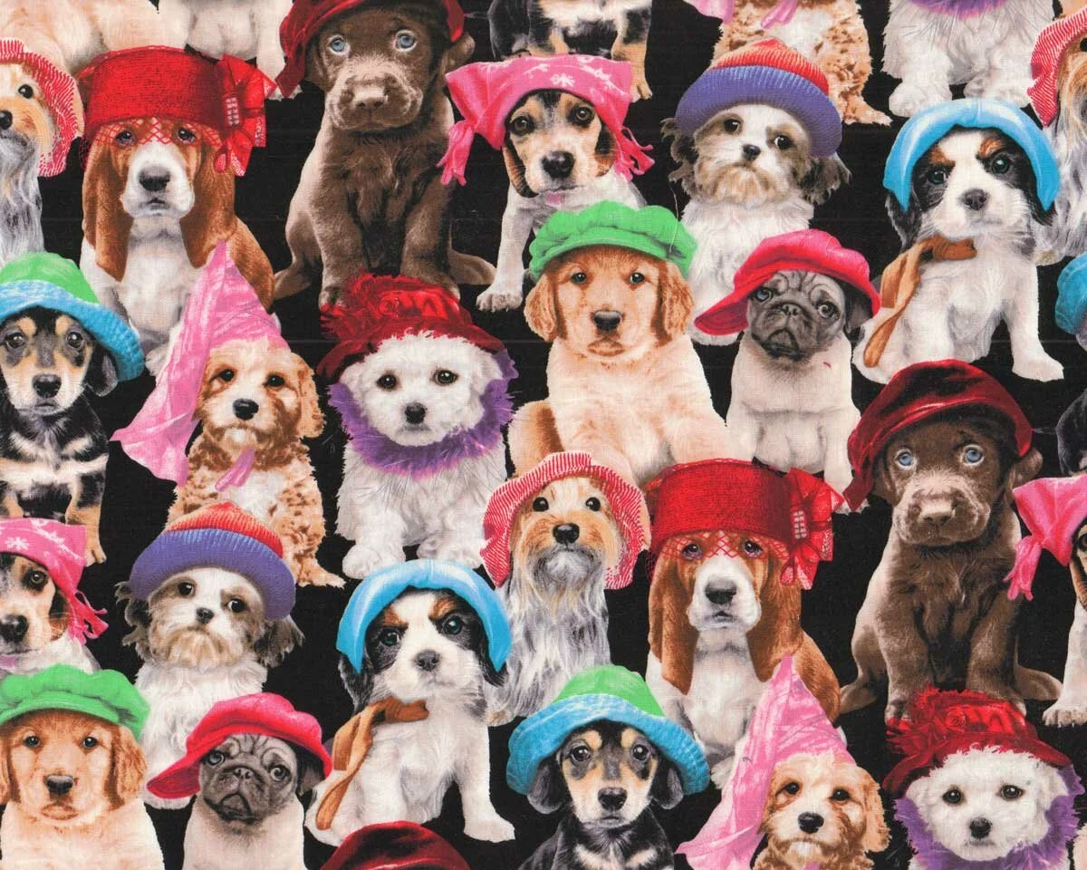 Patchworkstoff ADORABLE PETS, Hunde, schwarz, Elizabeth's Studio