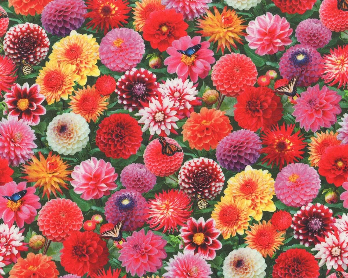 Patchworkstoff BURST OF COLOR, Chrysanthemen & Dahlien, Elizabeth's Studio