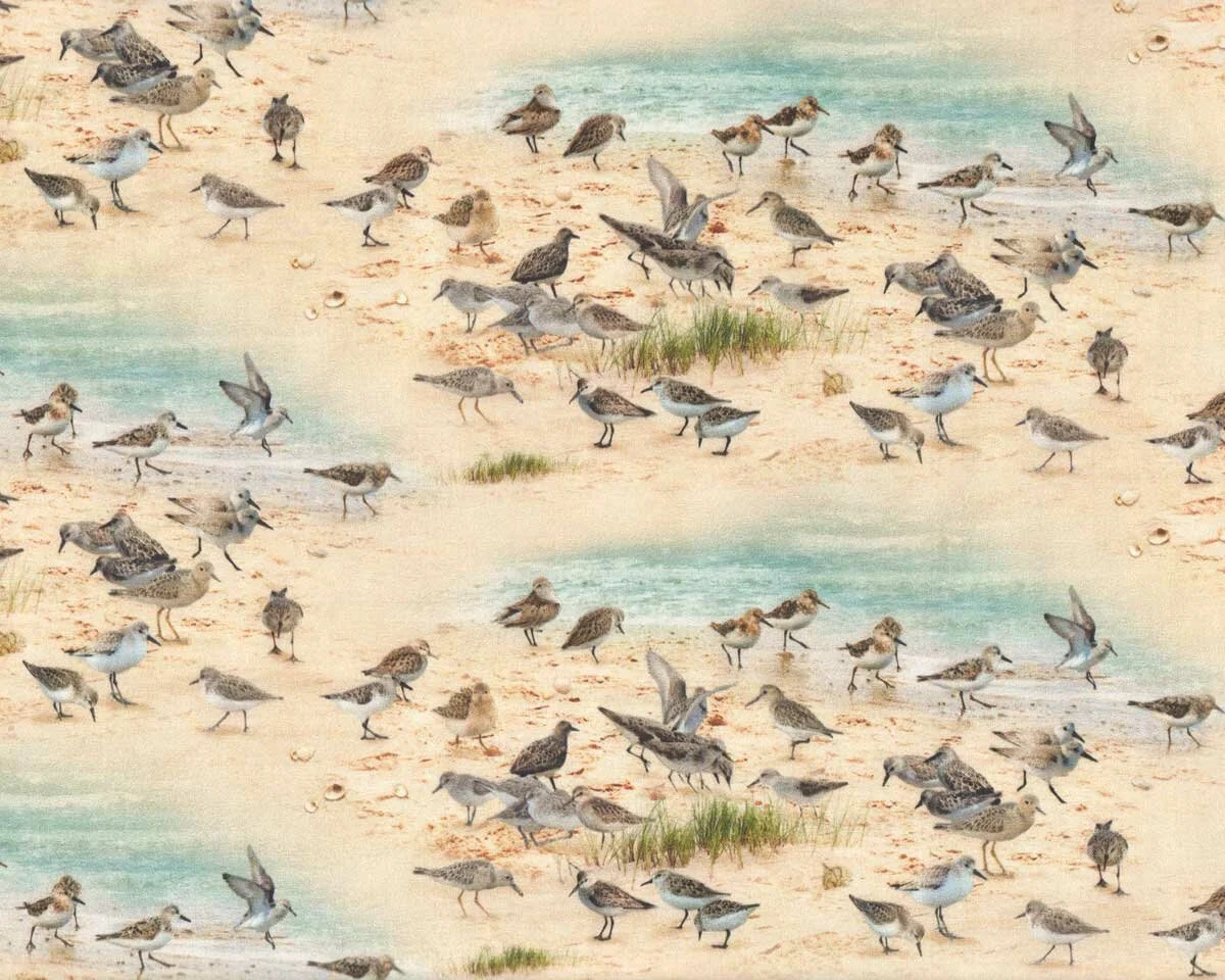 Patchworkstoff COASTAL DREAMS, Strandvögel, Elizabeth's Studio