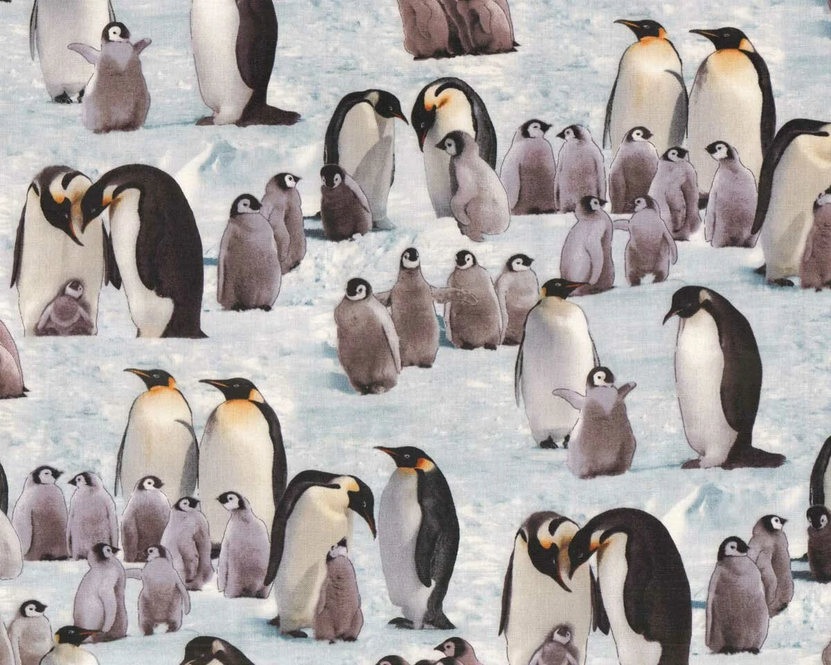 Patchworkstoff EMPEROR PENGUINS, Pinguine, Elizabeth's Studio