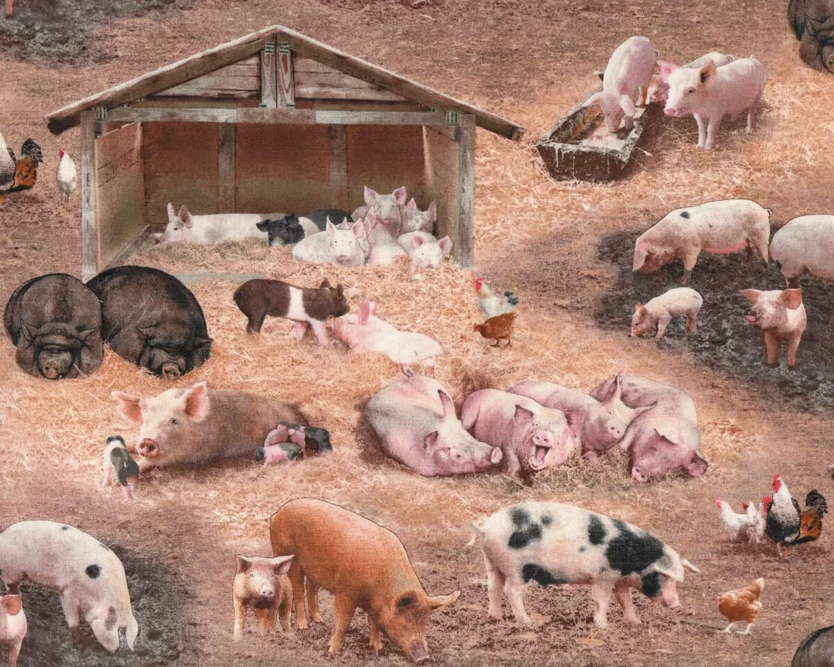 Patchworkstoff FARM ANIMALS, Schweine, Elizabeth's Studio
