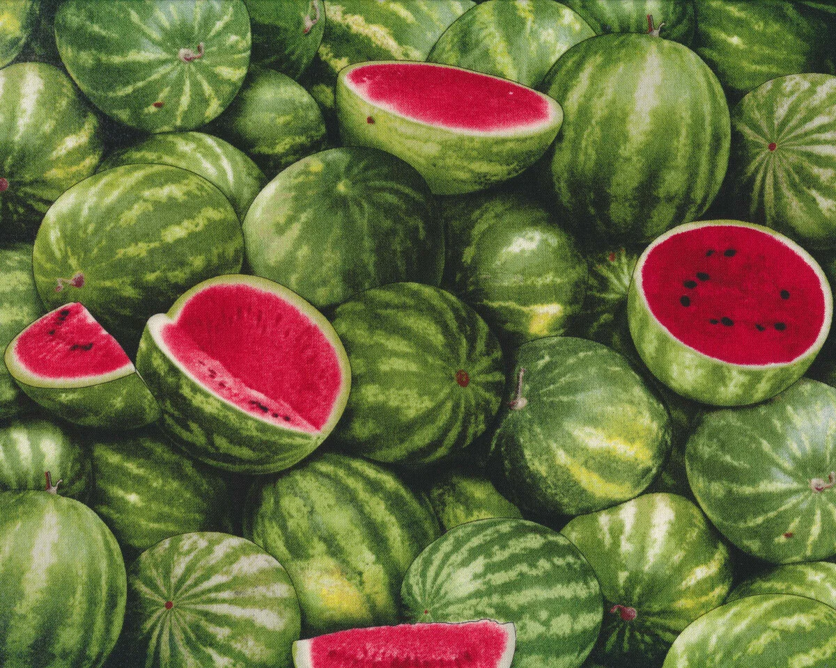 Patchworkstoff FOOD FESTIVAL, Wassermelone, Elizabeth's Studio