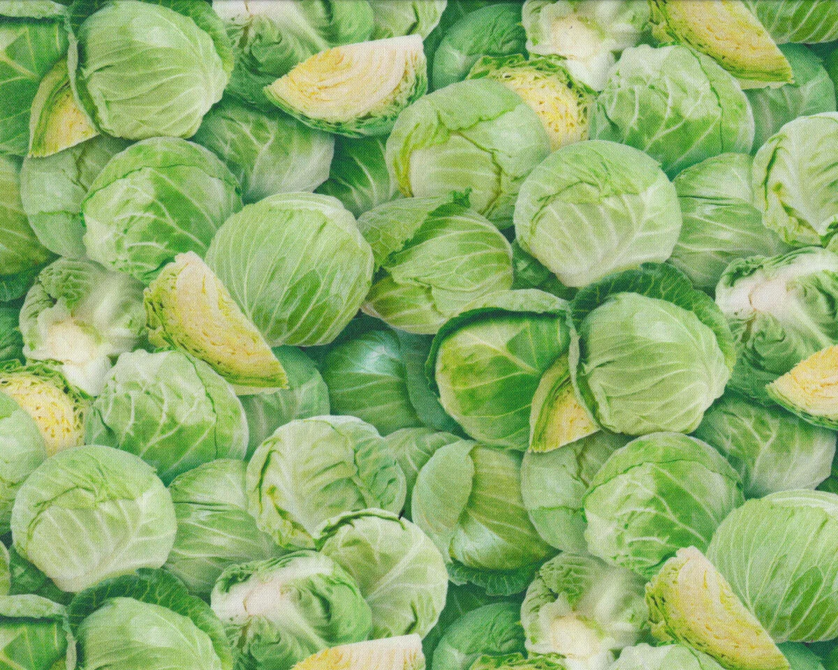 Patchworkstoff FOOD FESTIVAL, Weißkohl, Elizabeth's Studio