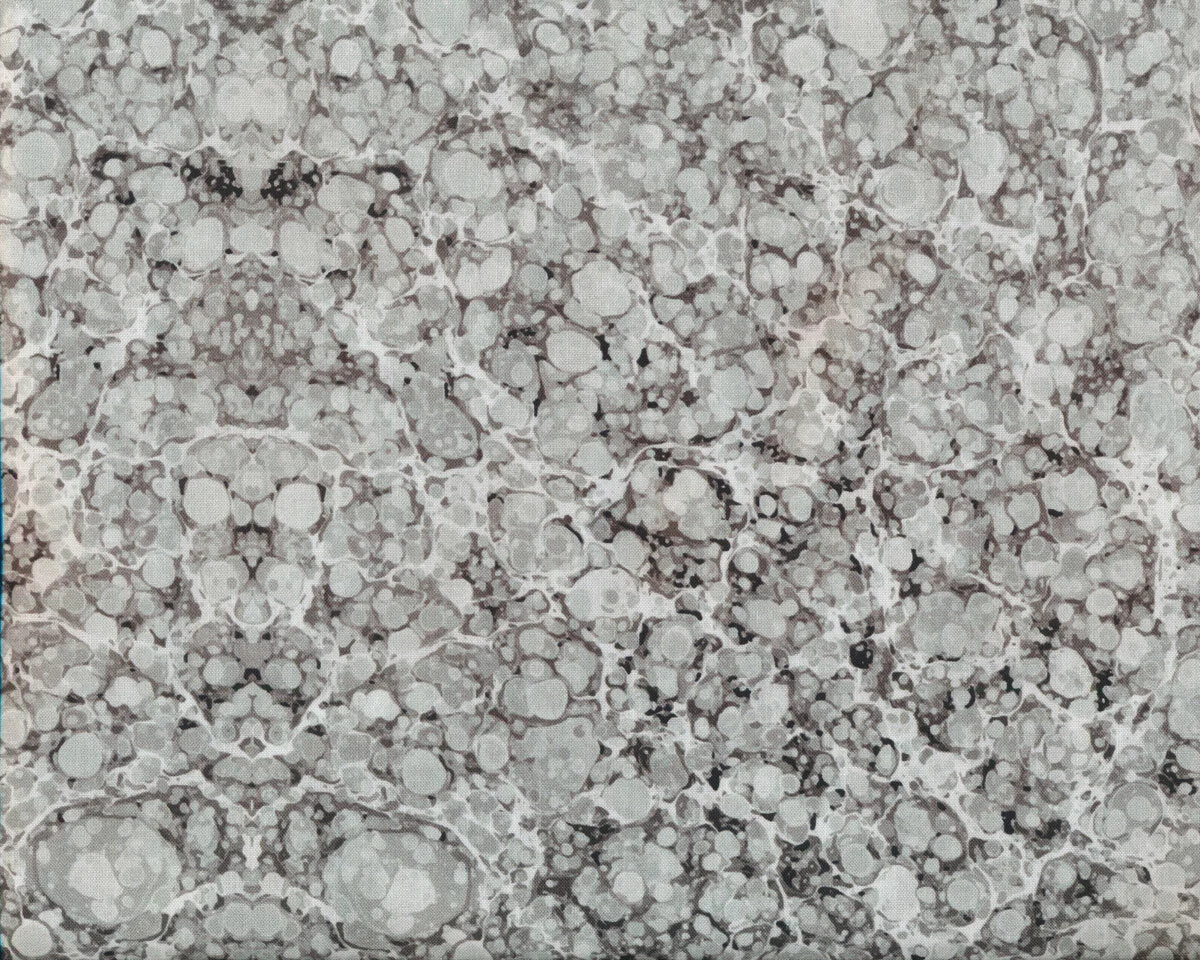 Patchworkstoff MARBLE ESSENCE, Marmorierung, hellgrau, In the Beginning