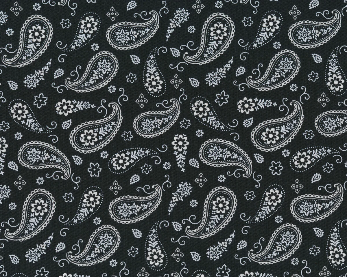 Patchworkstoff PARADOX, Paisleys, schwarz, Blank Quilting