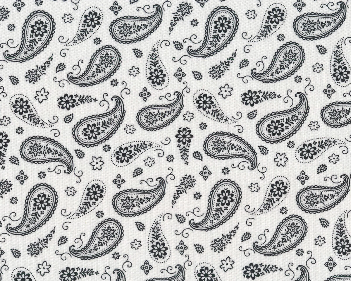 Patchworkstoff PARADOX, Paisleys, weiß, Blank Quilting