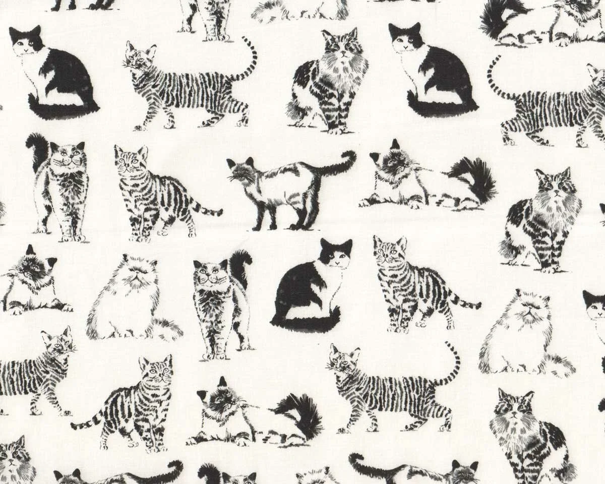 Patchworkstoff PET SKETCH, Katzen, weiß-schwarz