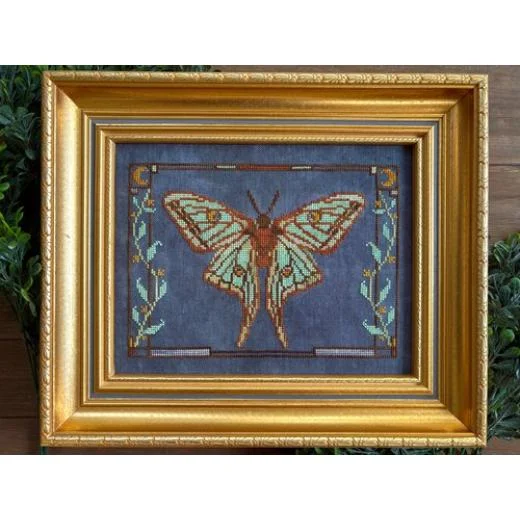 Petal Pusher - Spanish Moon Moth