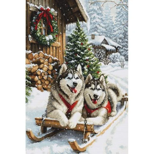 Luca-S - The Magic of the Nordic Winter