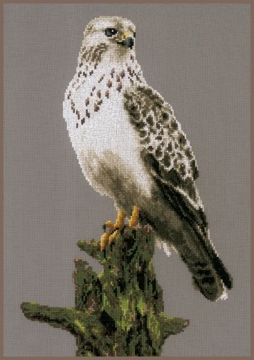 Lanarte - Falcon