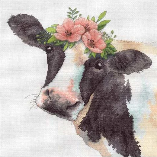Dimensions - Sweet Cow - Ausverkauf