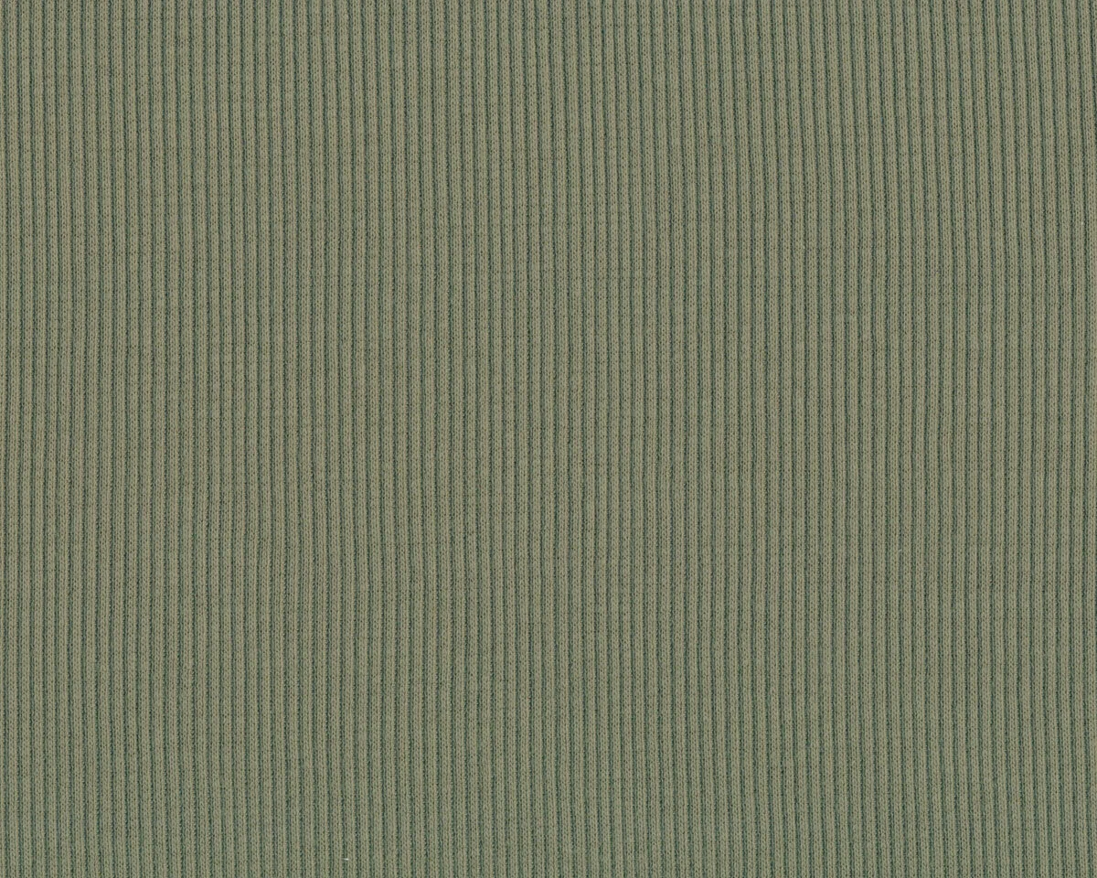 Rippenjerseystoff aus Baumwolle UNI RIB, schilfgrün