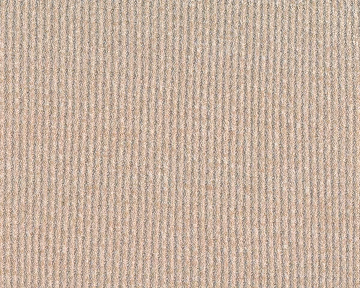 Viskose-Strickjersey mit Fleeceabseite SOFT WAFFLE, beige meliert, Hilco
