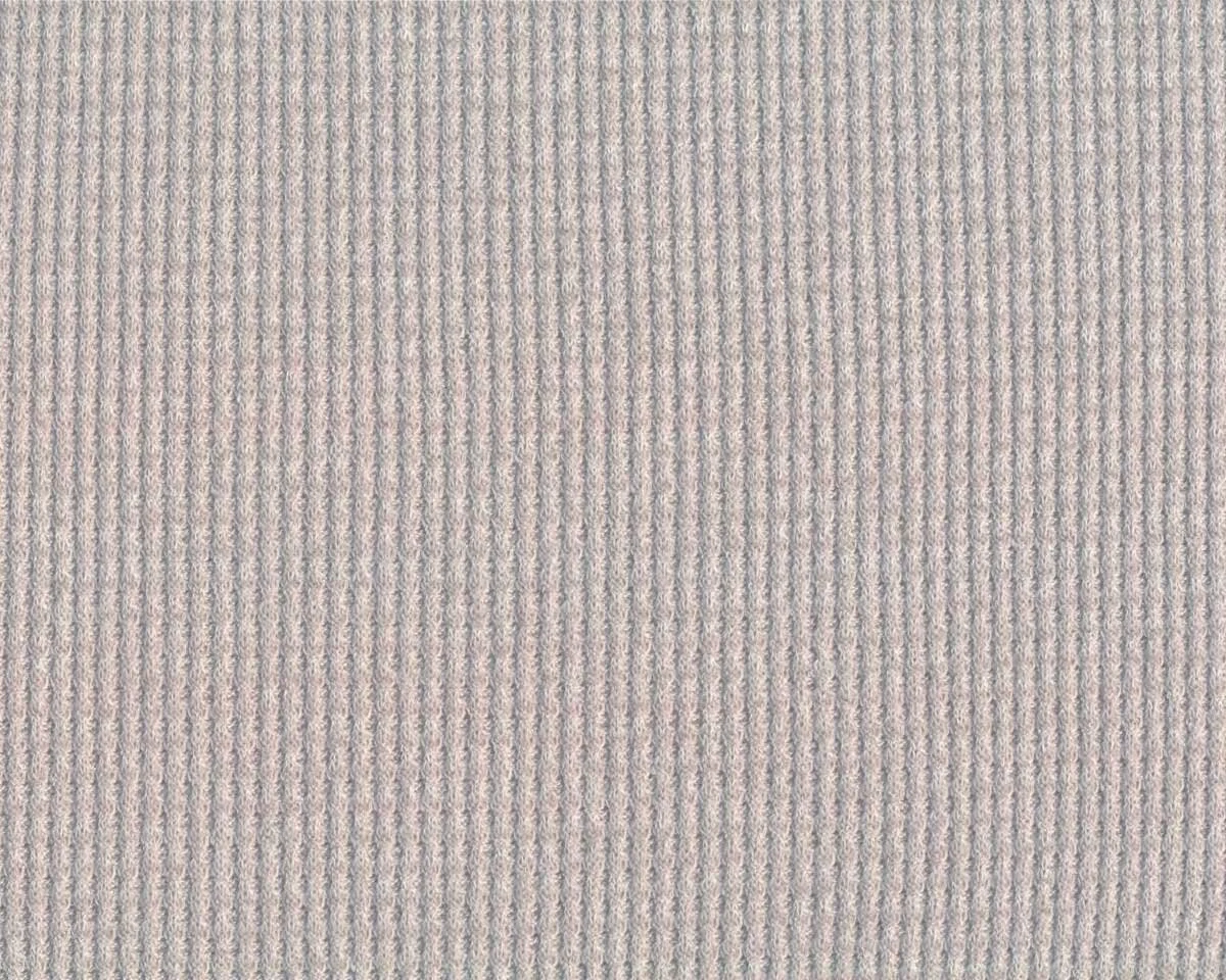 Viskose-Strickjersey mit Fleeceabseite SOFT WAFFLE, hellgrau, Hilco